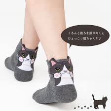 ひょっこりにゃんこソックス3足セット