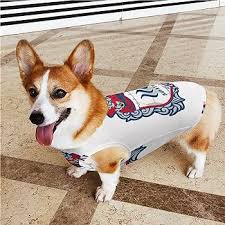 草津温泉ペット用セーター秋冬用
