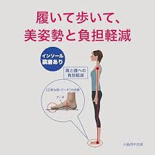 BMZ姿勢サポートインソール (ブラック)