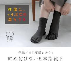 極暖シルク5本指靴下（レディース・銀色）