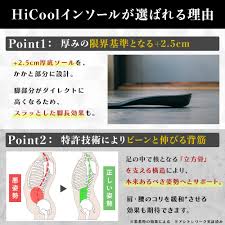 ハイクールシークレットインソール