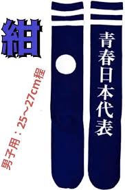 新学校リーダーズ 青春靴下 紺色 男子用