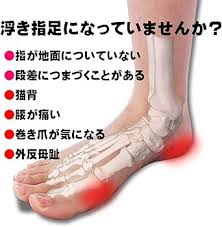 アーチサポートインソール (女性用M)